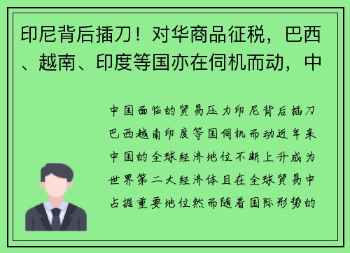 印尼背后插刀！对华商品征税，巴西、越南、印度等国亦在伺机而动，中国面临何种贸易压力？